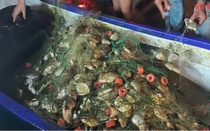 Đi bắt cá về ăn tối, người đàn ông kéo lên gần 200 kg thứ phủ kín thuyền: Chuyên gia chỉ ra điều đáng lo
