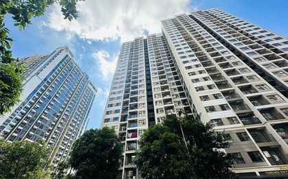 Chung cư Hà Nội chạm mốc 123 triệu đồng/m2, giao dịch bất động sản cả nước đồng loạt giảm mạnh