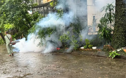 Hà Nội ghi nhận hơn 300 ca sốt xuất huyết trong một tuần
