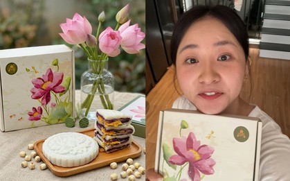 Tình hình kiếm tiền của chị gái Quang Linh Vlogs hiện tại