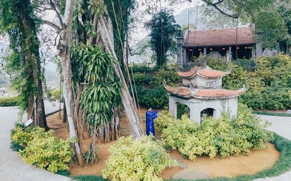 Phát hiện cây đa hơn 1.000 năm tuổi "biết đi" ở Việt Nam: 3 lần đổi vị trí, mỗi bước tới 15m