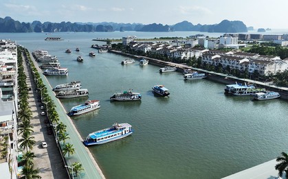 Từng bị xem là "điên rồ khi đổ tiền xuống biển nhiều như đất”, đại gia BĐS này đã làm nên điều kỳ diệu
