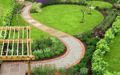 5 loại cây dễ chăm sóc, thích hợp trồng lối đi sân vườn