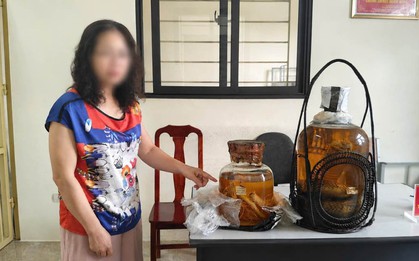 Lệnh bắt khẩn cấp người phụ nữ 55 tuổi mua bình rượu rắn hổ mang chúa