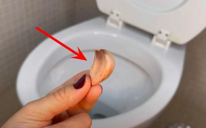 Vì sao ngày càng nhiều gia đình thích bỏ 1 tép tỏi vào bồn cầu mỗi đêm?