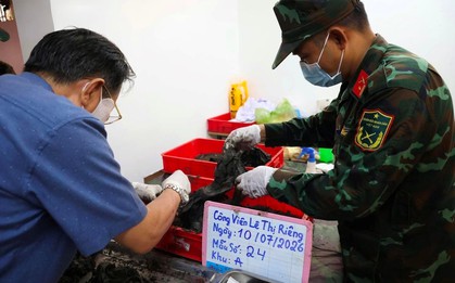 Quy tập thêm 12 hài cốt liệt sĩ tại Công viên Lê Thị Riêng