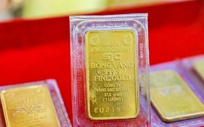Giá vàng 9999 SJC hôm nay 6/8/2026 bao nhiêu 1 chỉ?