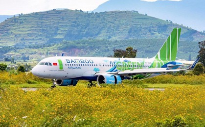 Trong tháng 8, website Bamboo Airways chỉ còn hiển thị đường bay Hà Nội - Quy Nhơn, 1 chuyến khứ hồi/tuần