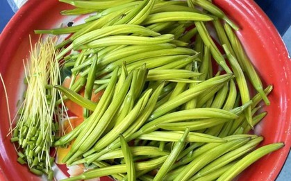 Khi mùa thu bắt đầu, nên phơi khô 4 loại rau này, bảo quản trong tủ lạnh và dùng để nấu ăn đến tận năm sau