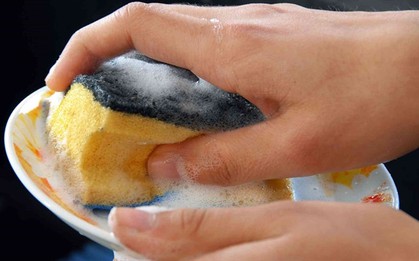 Lời khuyên cho những gia đình sử dụng miếng giẻ rửa bát