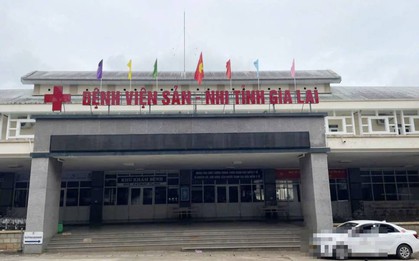 Gia Lai: Bé gái 4 tuổi tử vong vì bệnh dại sau thời gian thường xuyên ôm ấp, ngủ cùng mèo