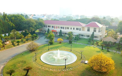Vừa bị thu hồi hơn 1,45 triệu m2 đất, chân dung doanh nghiệp Nhà nước sở hữu 10.000ha cao su tại Lào, 3 sân golf và nắm 30% công ty sữa FrieslandCampina Việt Nam