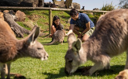 Đi Úc mà chỉ ở Sydney thì phí, khám phá ngay 3 vùng đất đẹp “nín thở” tại New South Wales