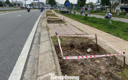 Đốn hạ gần 200 cây xanh để thi công Vành đai 2