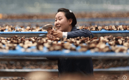 Khó của nền kinh tế lớn thứ 2 thế giới: 12,7 triệu sinh viên cùng tìm việc, tỷ lệ thất nghiệp cao kỷ lục, AI tạo thêm sức ép