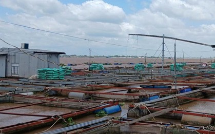 Vụ cha cứu con bị điện giật, cả 2 rơi xuống sông mất tích: Tìm thấy thi thể 2 cha con
