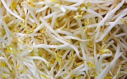 Người phụ nữ 40 tuổi ăn giá đỗ mỗi sáng để chống viêm nhưng lại mắc bệnh phụ khoa: Bác sĩ cảnh báo chị em cần chú ý một điều