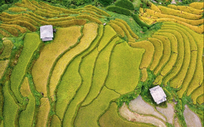 Việt Nam có “tòa tháp xanh 121 tầng” giữa núi: Không xây bằng bê tông, nằm ở điểm đến hàng triệu khách mỗi năm