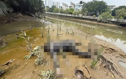Công an tìm tung tích, người thân của nam thanh niên tử vong dưới rạch Đầu Ngựa ở TP.HCM