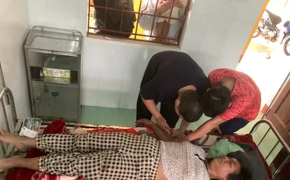 Người phụ nữ ở Quảng Trị bị ong vò vẽ đốt đến hôn mê