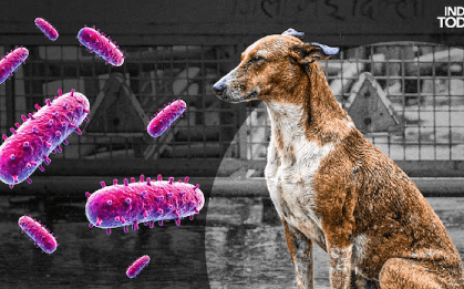 Xếp hạng: 10 loại virus nguy hiểm nhất thế giới theo tỷ lệ tử vong