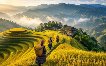 Việt Nam có địa điểm lọt TOP "sắc màu nhất thế giới”: Người dân làm du lịch trên 853 ha ruộng bậc thang, MICHELIN cũng phải vinh danh
