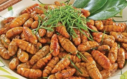 Ăn 20 con nhộng tằm, người đàn ông 41 tuổi suy đa tạng, suýt mất mạng