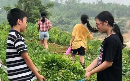 Tổng Chủ biên chương trình giáo dục trải nghiệm: Không bắt buộc đưa học sinh đi xa trải nghiệm