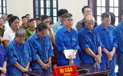Nguyên Tổng giám đốc Công ty CP Đồ hộp Hạ Long lĩnh 19 năm tù