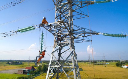 Tổng công ty Điện lực miền Nam cảnh báo khẩn