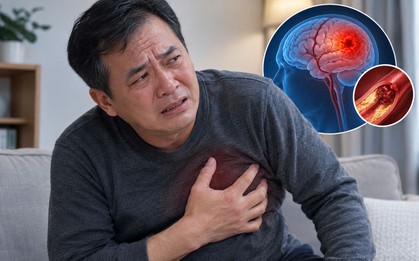 Nghiên cứu theo dõi 20 năm chỉ ra 3 ĐIỂM CHUNG ở những người có nguy cơ mắc bệnh tim mạch và đột quỵ