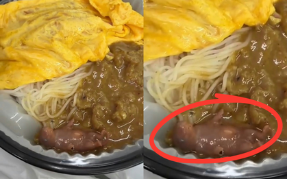 Mở hộp mì bò, nữ thực khách tá hỏa khi thấy chuột con còn sống bên trong, nhà hàng Hong Kong bị điều tra