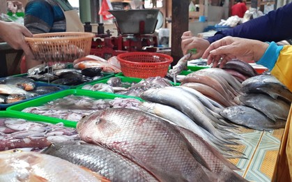 5 loại cá ra chợ thấy "ngon mắt", rẻ mấy cũng đừng mua!