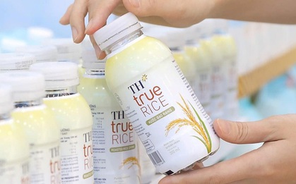Nước gạo rang - đồ uống “hot trend”: Nhiều thương hiệu, nhưng có một loại đặc biệt ngon và lành không nên bỏ qua