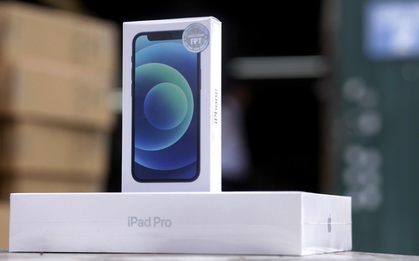 Rinh iPhone 12 sành điệu nhận ngay củ sạc 20W Apple chính hãng
