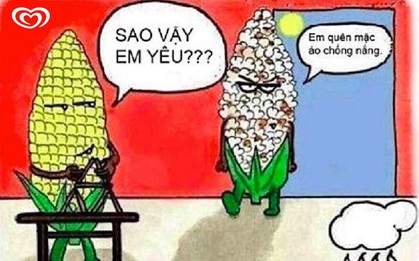 Điểm danh những lý lẽ nghe là phát hờn của các chuyên gia cứ đến hè lại tụt mood rồi gãy team