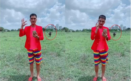 Tới trâu bò cũng phải “chằm Zn” trước màn cover “đỉnh cao” của Mạc Văn Khoa