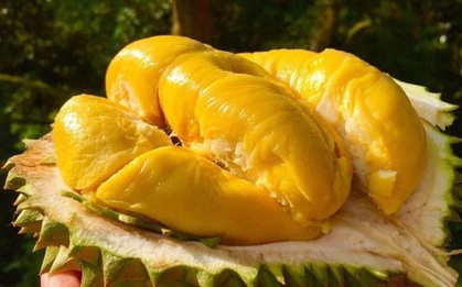 Gái đảm thời nay đi chợ online gom toàn deal hời không thua gì mẹ bỉm: Hàu sống Pháp “ngon lành cành đào” chỉ từ 89K, sầu riêng Ri6 hạt lép loại 1 xịn hết nấc chỉ từ 15K