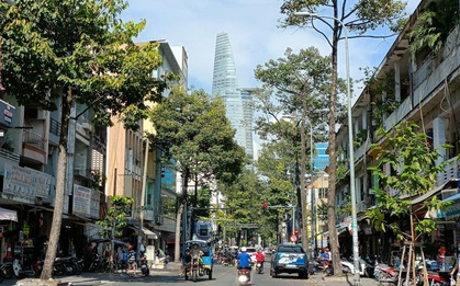 Khúc giao mùa đầy cảm hứng khi Sài Gòn tỉnh giấc