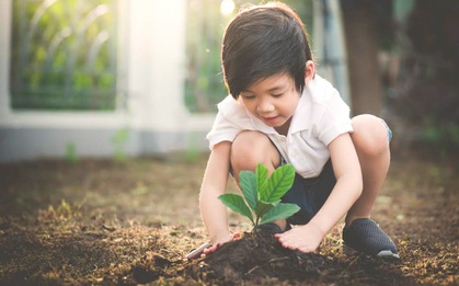 “Lấm bẩn vì Màn Chắn Xanh Việt Nam” bước vào chương mới, hướng tới 1 triệu cây xanh