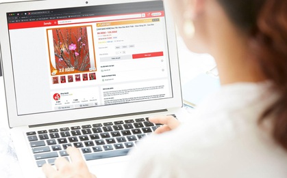 Mùa Tết sôi động hoa đào mua online giao trong hai giờ