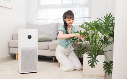 Loạt phụ kiện nhà thông minh giảm giá tốt nên sắm dịp Tết này