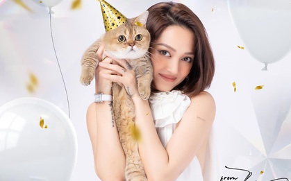 Nuôi mèo theo kiểu hội rich kid châu Á, Bảo Anh chi hẳn tiền tỷ tặng nhà máy pate cho mèo cưng?