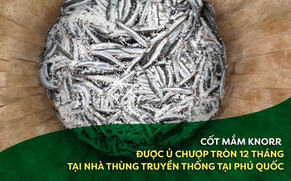 3:1:12 - Công thức vàng làm nên Nước mắm Knorr trọn vị ngon từ cá cơm than Phú Quốc