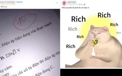 Những chiếc “Vía Linh Hoạt” bạn không thể bỏ lỡ dịp Tết Giáp Thìn