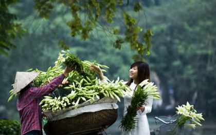 Hoa loa kèn nhuộm nỗi nhớ tháng Tư