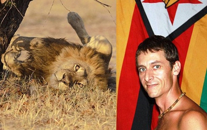 Zimbabwe: Hướng dẫn viên mất mạng vì bảo vệ du khách khỏi sư tử
