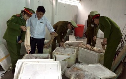 Thu giữ 500 kg thịt mèo lậu và 1 tấn nội tạng hôi thối
