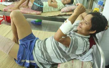 Đi chăn bò, người đàn ông bị lợn rừng cắn khắp cơ thể
