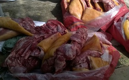 Bắt xe khách chở nửa tấn thịt heo thối vào Đà Nẵng tiêu thụ